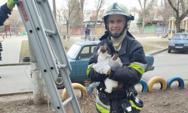 У Запоріжжі допомогли котику, який застряг на дереві фото