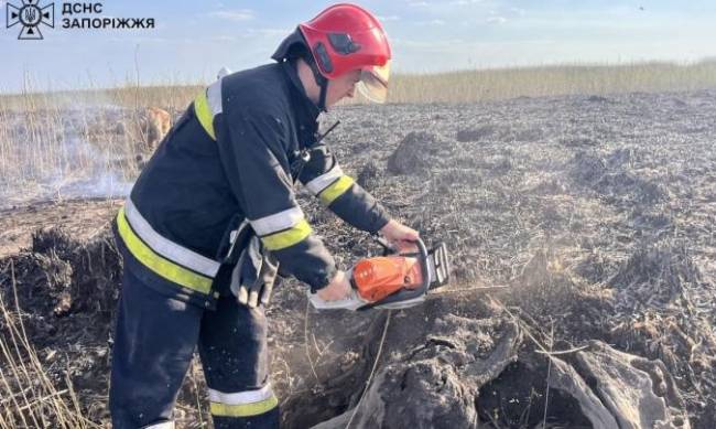 Плавні у вогні: запорізькі рятувальники  ліквідували чергове загоряння очерету фото