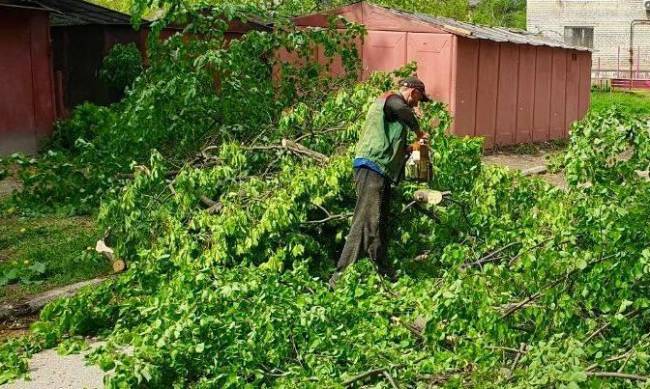 Попадали дерева і великі гілки: у Запоріжжі знову прогнозують штормовий вітер фото