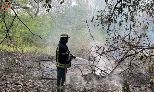 Хортиця  у вогні: запорізькі рятувальники ліквідовували одночасно декілька осередків загоряння фото