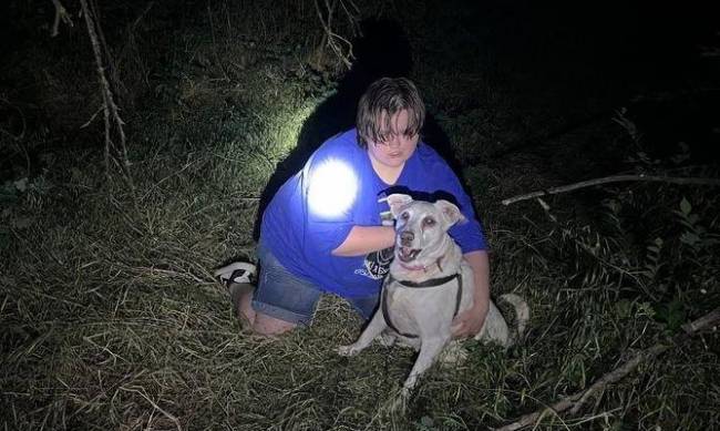 У запорізькому парку собака впала у комунікаційний колодязь фото