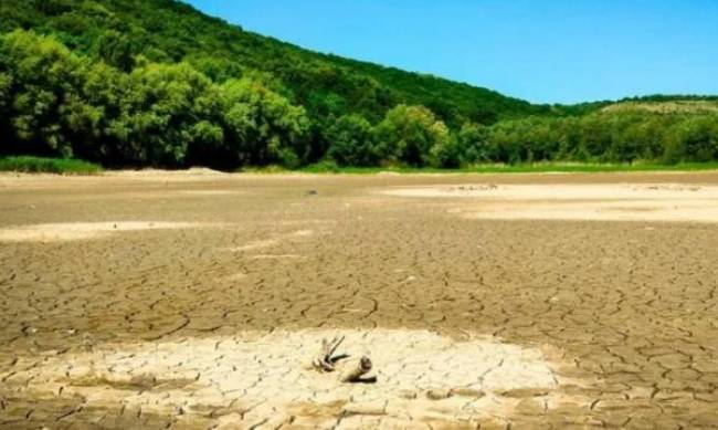 У Дністровському водосховищі знижується рівень води фото