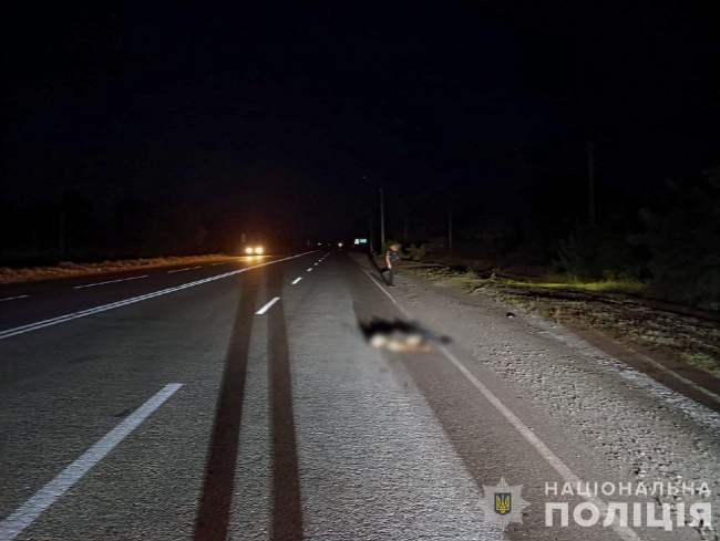 у Запорізькій області водій збив пішохода та залишив помирати на узбіччі фото